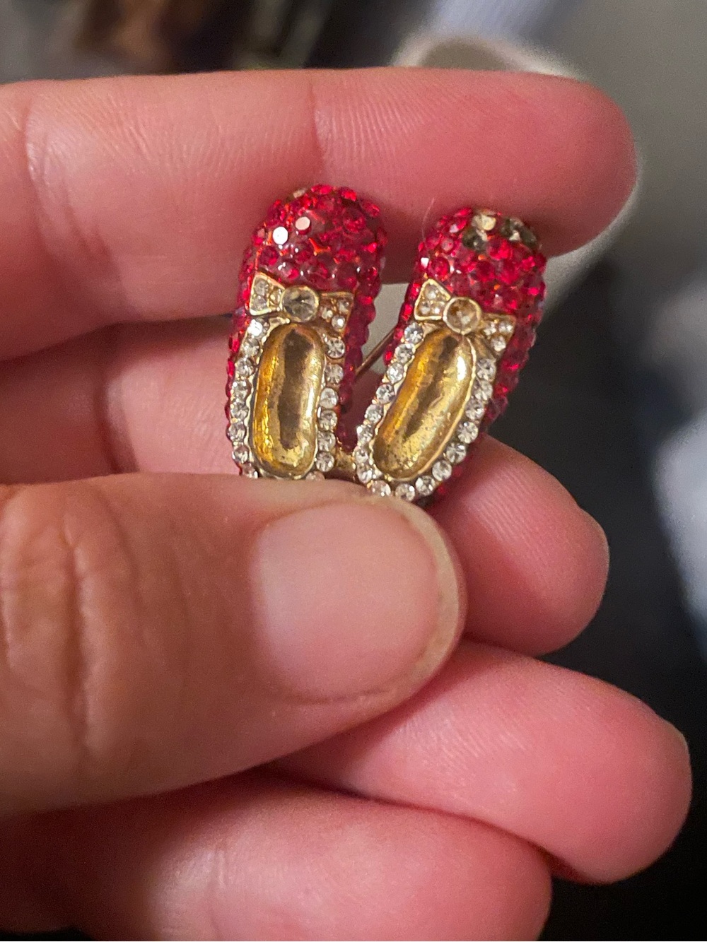 Wizard of OZ Ruby Red slippers brooche- Gold Accents